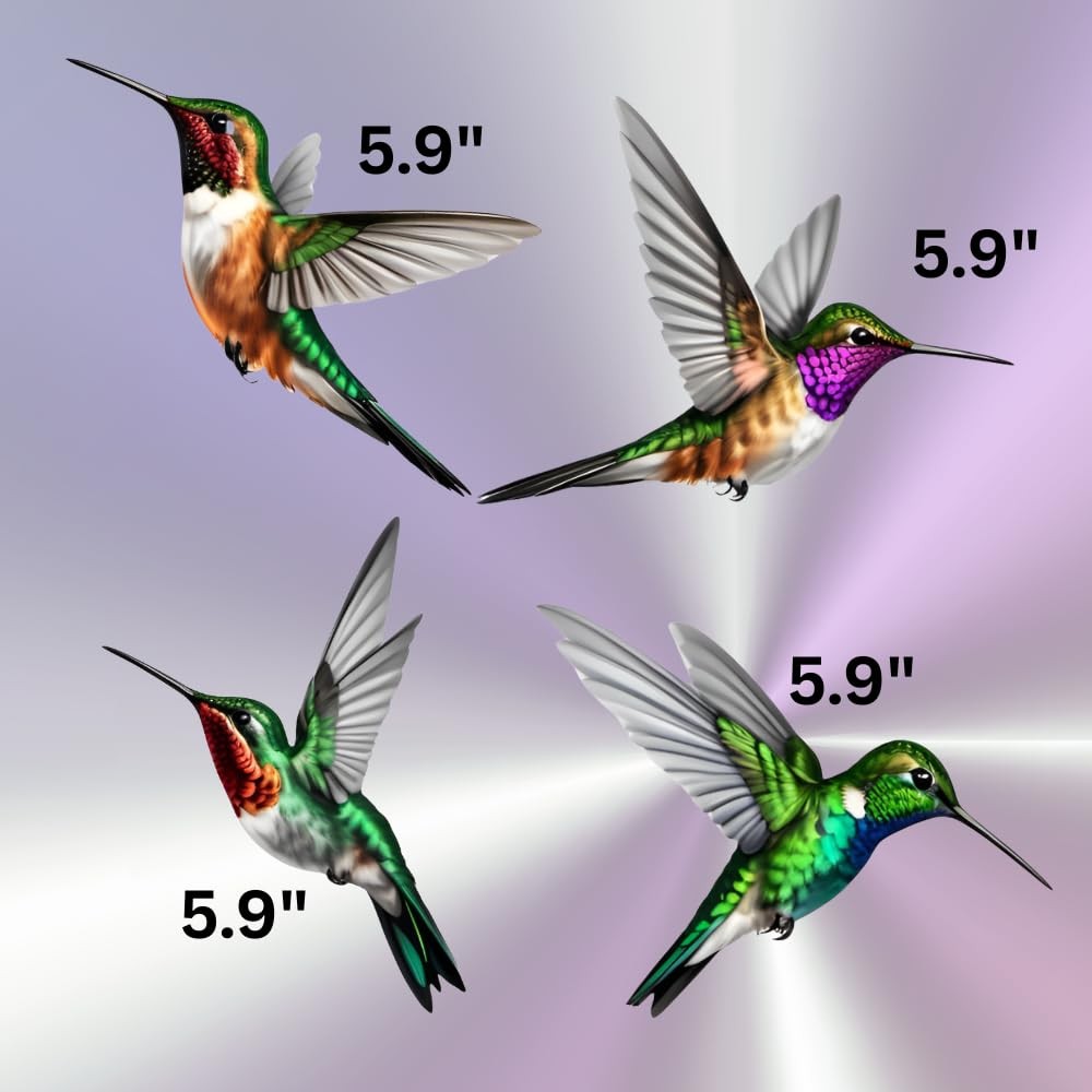 4-Pack Hummingbird Sticker Bird Decal Size 5.9" (French)