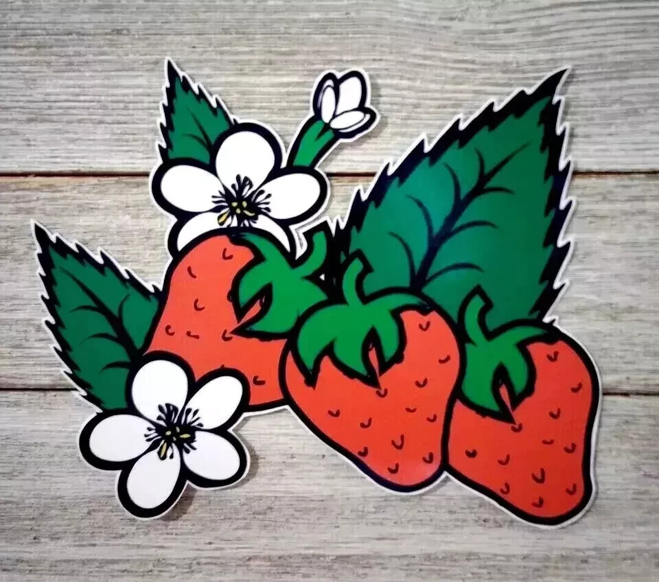 strawberries berry fruit wall safe sticker red 8.5 inch 1pc
