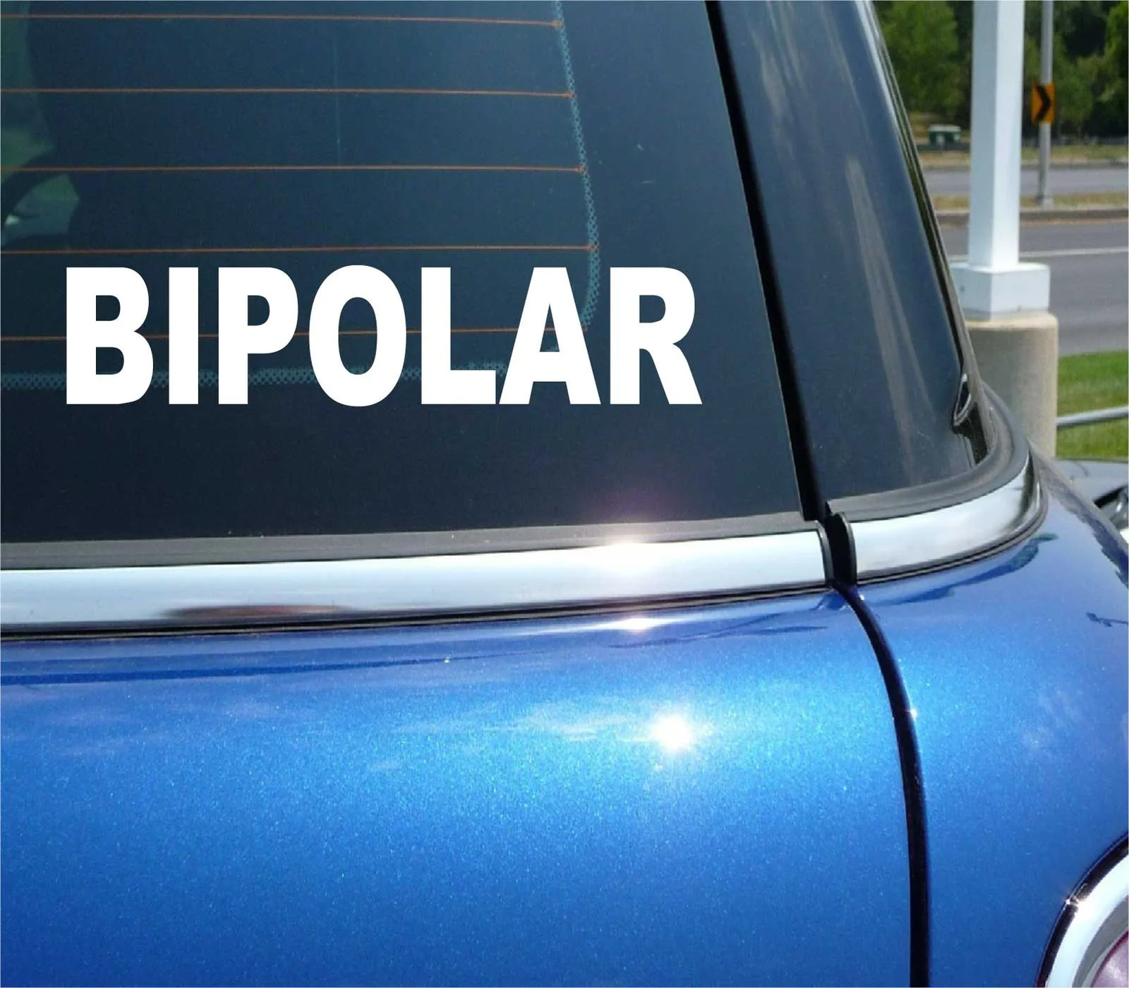 BIPOLAR MENTAL HEALTH AWARENESS SUPPORT TREAT CAR DECAL BUMPER STICKER WALL