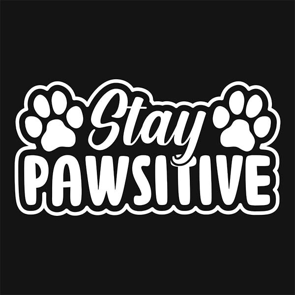 DOG STAY PAWSITIVE DECAL STICKER DESIGN LAMINATED +6Y + US + VINYL AI