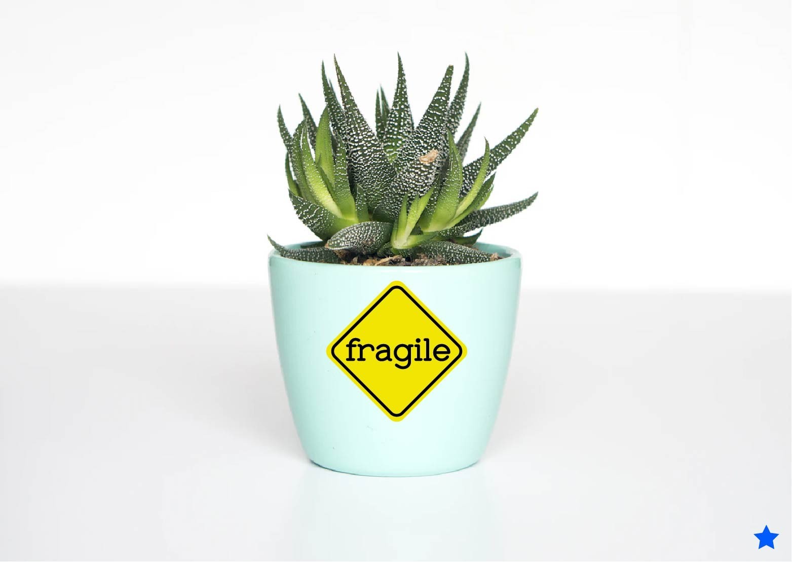 Fragile Decal Sticker Caution Yellow Careful Handle with Care Sensitive Person