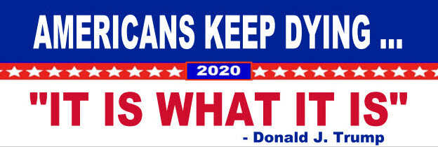 "IT IS WHAT IT IS" DUMP TRUMP (8" x 3") VINYL BUMPER STICKER – POLITICAL BIDEN