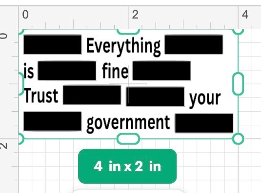 Epstein Sticker Redacted Espstein Files Custom Art Waterproof Sticker 2” X 4”