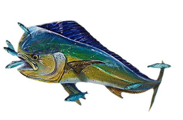 Mahi Dolphin Fish Feeding Vinyl Decal Truck Boat Cooler Cup Tumbler Tacklebox