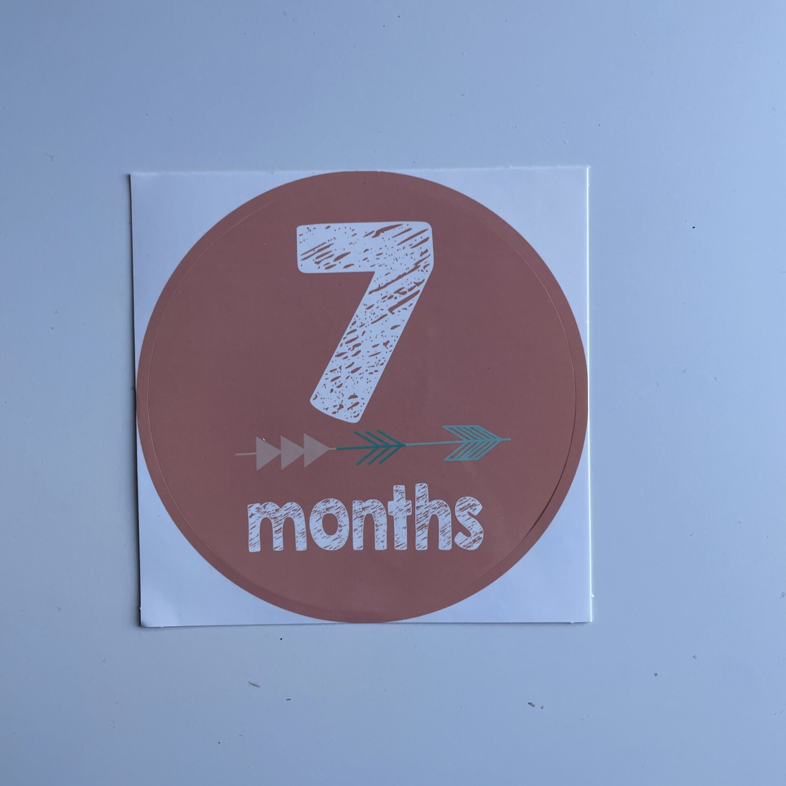 Monthly Baby Milestone Decal Stickers Set of 12 Gender Neutral Brand New