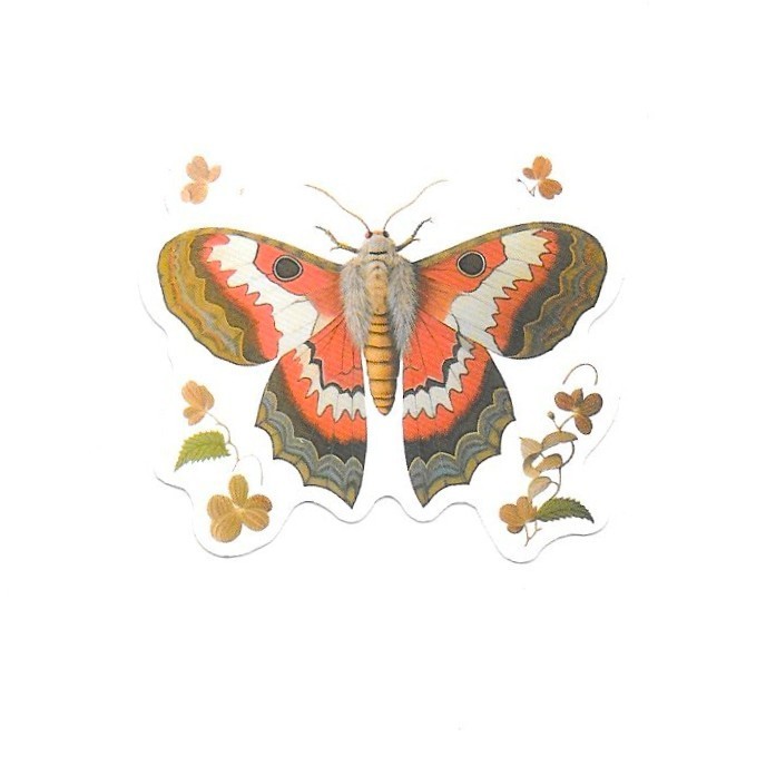Underwing Orange Floral Moth Vinyl Sticker Vintage Butterfly Insect Journal