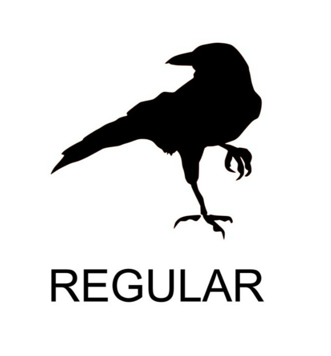 CROW RAVEN BLACKBIRD VINYL DECAL STICKER BIRD LAPTOP WINDOW CHOOSE COLOR