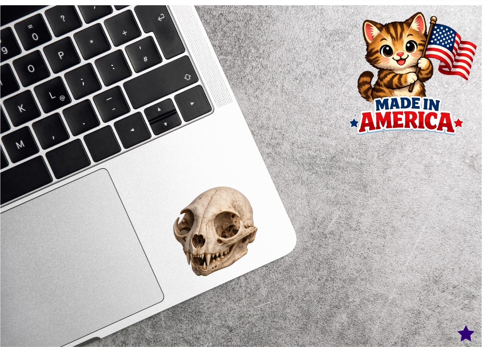 Cat Skull Decal Sticker Realistic Skeleton Bones Goth Oddities Feline Vet RVT