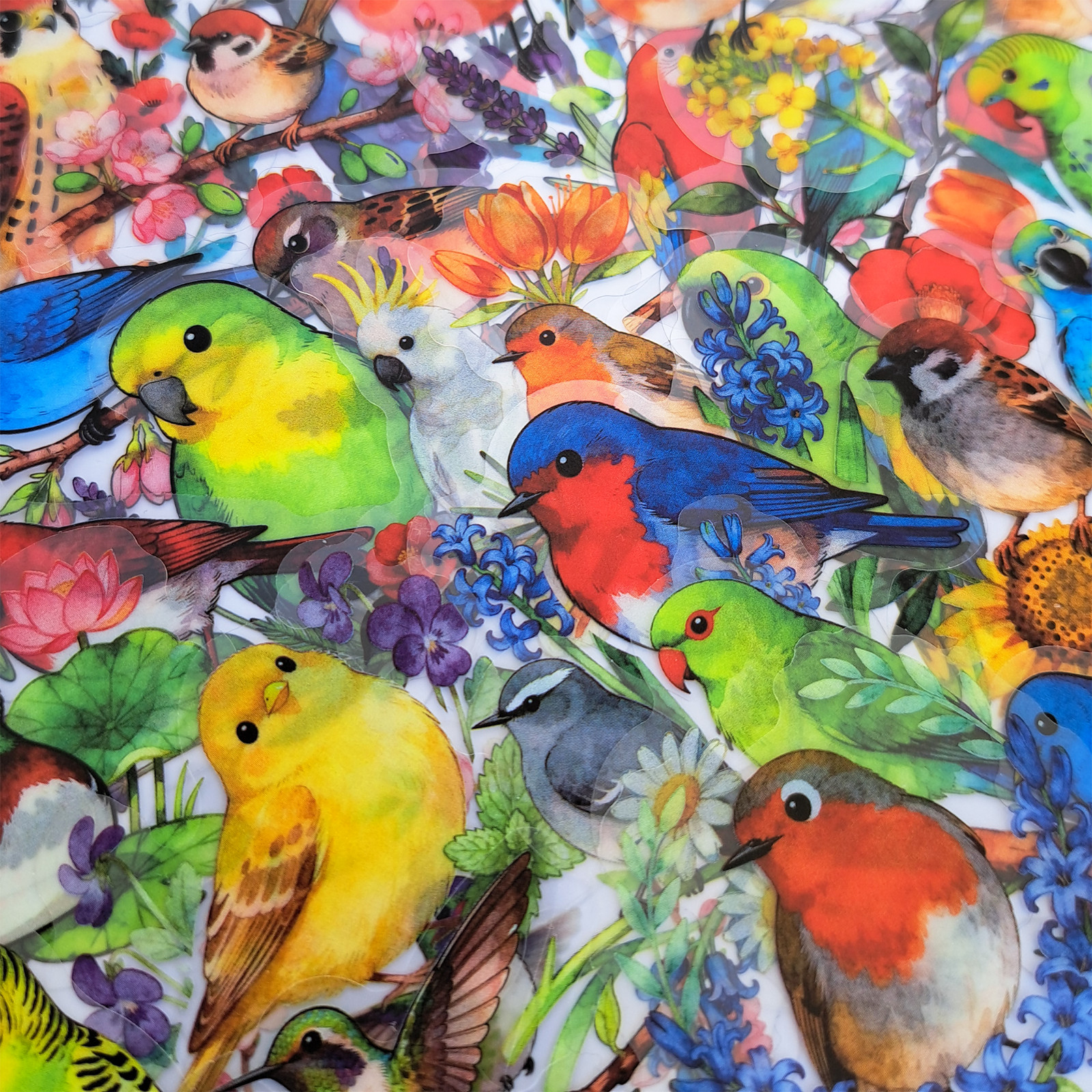 56 PCS Artistic Birds Sticker Pack Transparent Watercolor Floral Ornithology