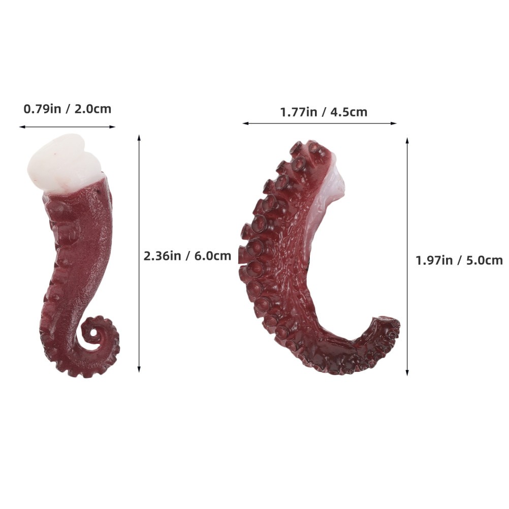 6pcs Lifelike Octopus Arms – Realistic Octopus Display Model Fake