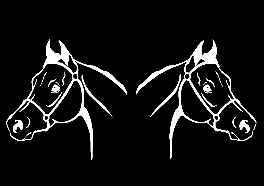 Arabian Horse Decals Mirrored Image Set car truck trailer vinyl sticker graphic