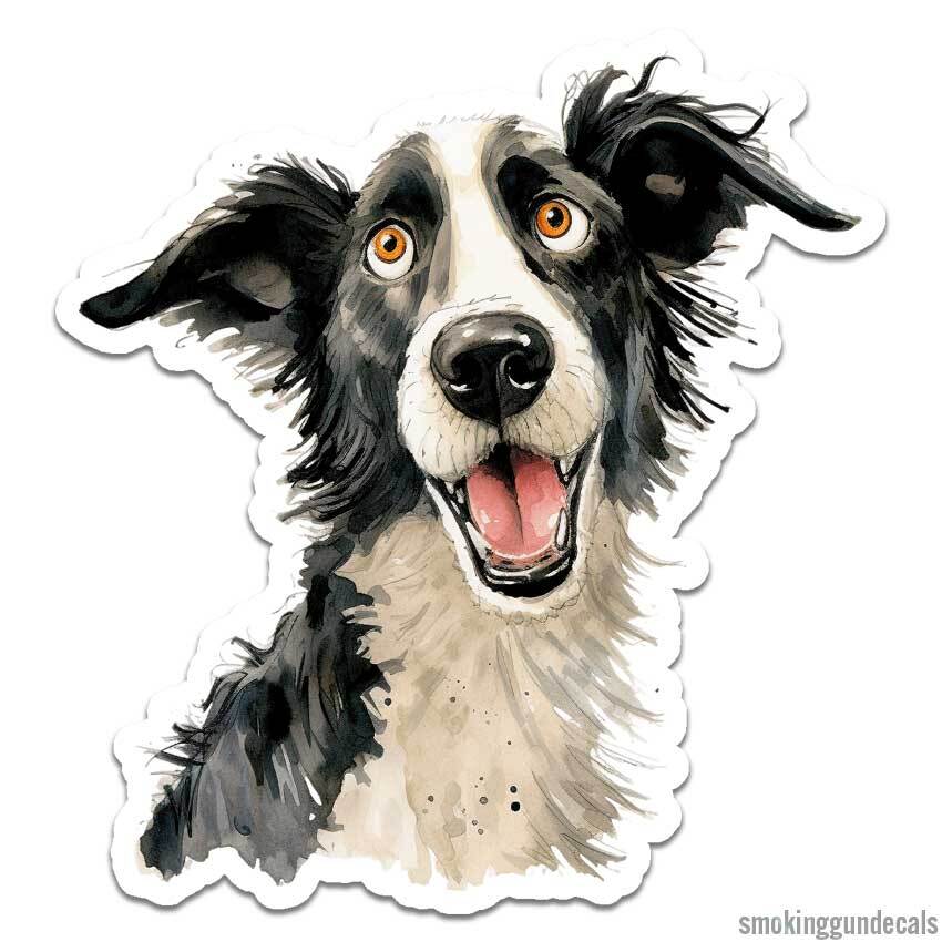 Black White Border Collie, Vinyl Decal Sticker, Indoor Outdoor, 3 Sizes, #12243