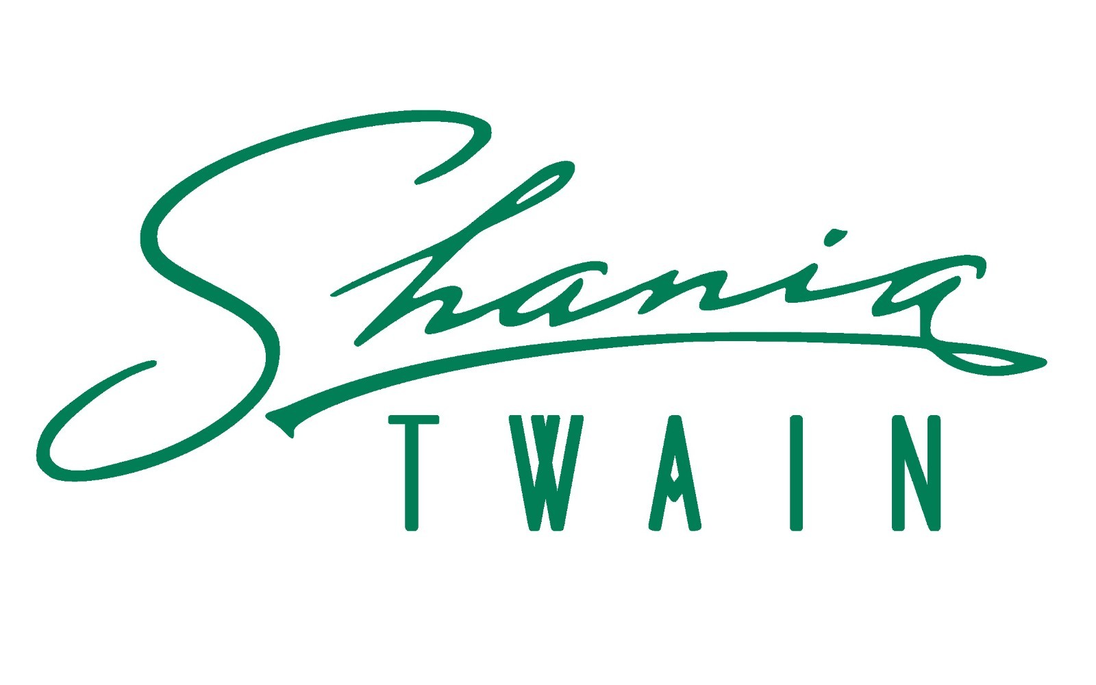 Shania Twain Signature Vinyl Decal, USA seller