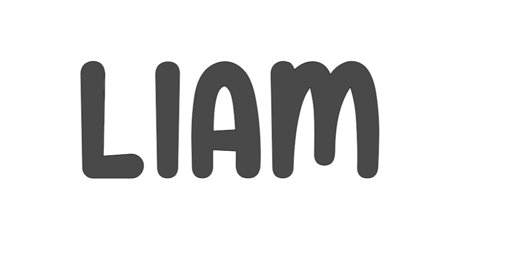 New Liam Personalized Name Vinyl Decal for Cups tumblers Crafts walls Phones