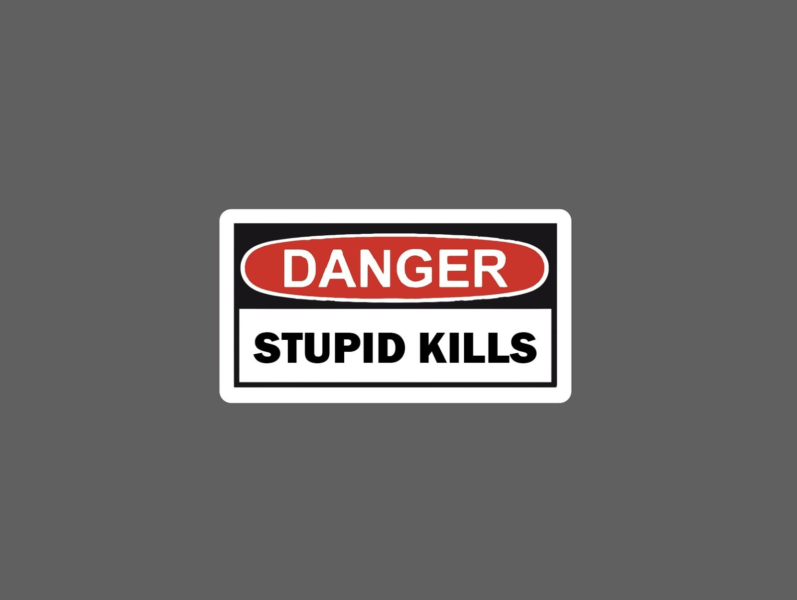 Danger Sticker Stupid Kills Waterproof NEW – Buy Any 4 For $1.75 EACH Storewide!