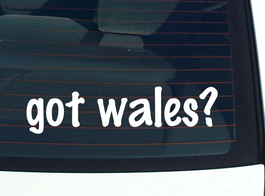 got wales? CAR DECAL BUMPER STICKER VINYL FUNNY JOKE WINDOW
