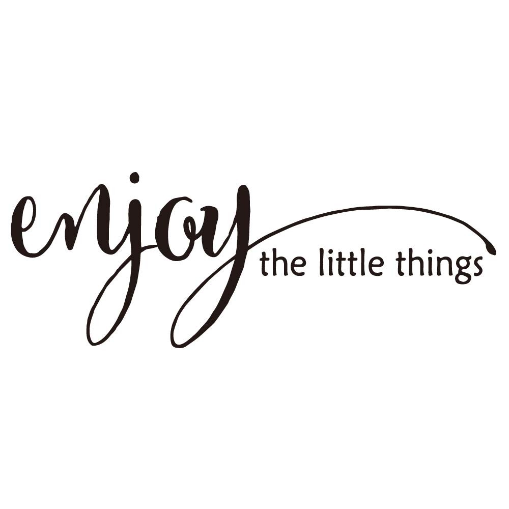 Enjoy the Little Things – Pure Balck Vinyl Wall Decal Quotes Art Letters Hand…