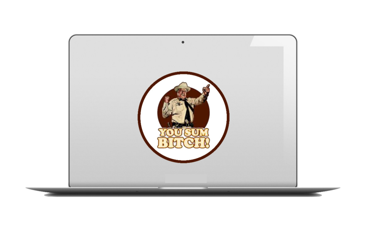 Smokey and The Bandit (Vintage You Sum B*tch )- 4" Vinyl Decal Car Cooler Laptop
