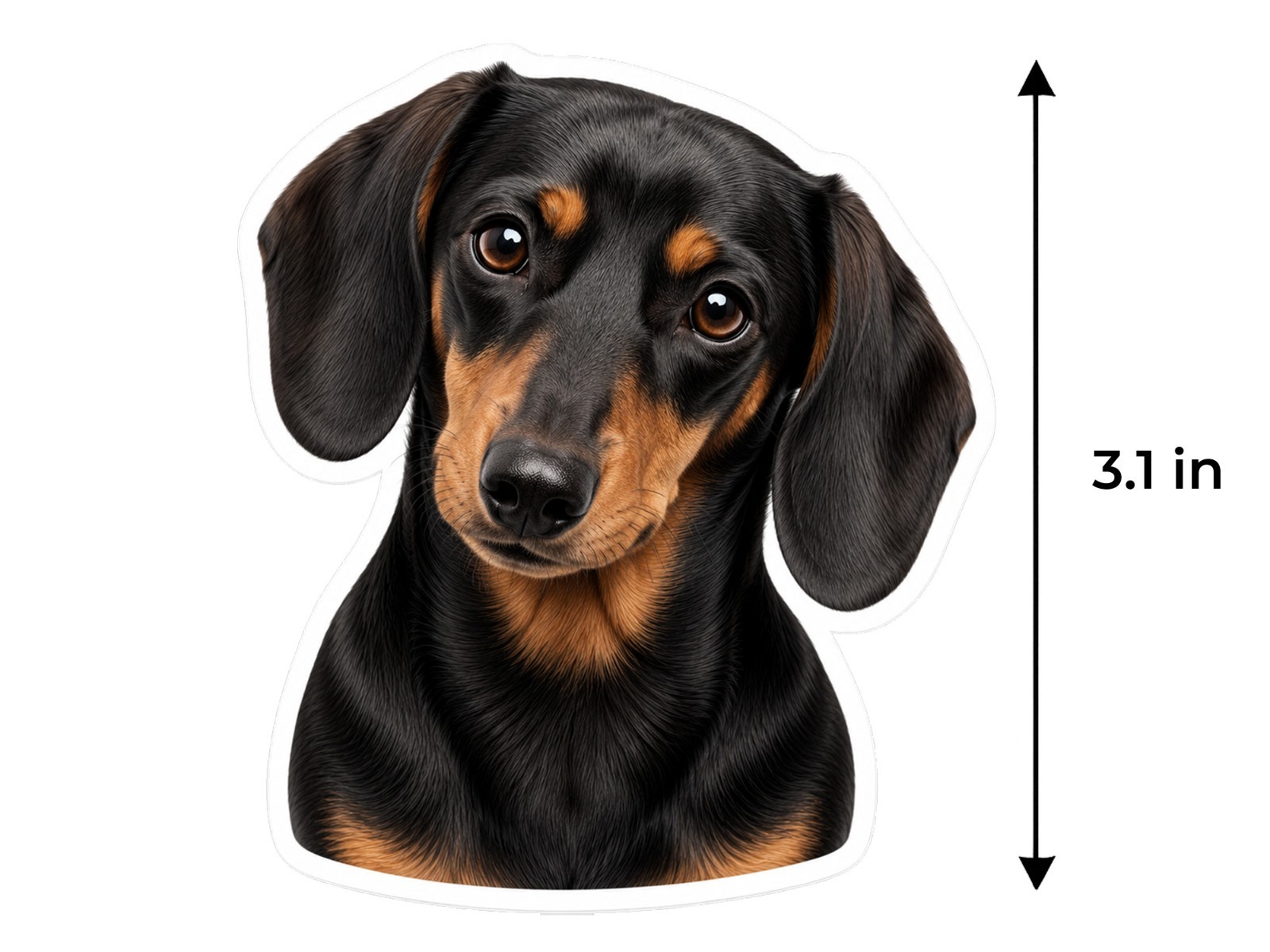 Dachshund Dog Decal Sticker Weather Resistant Car Laptop Window
