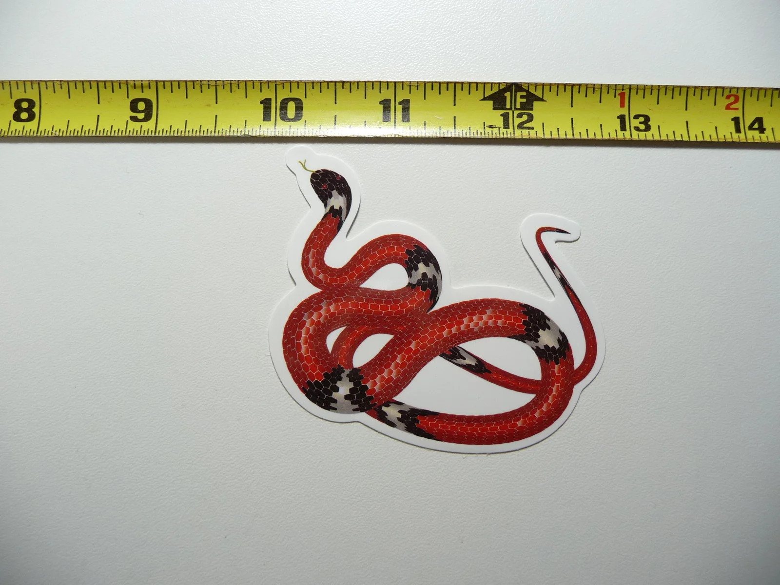 SNAKE SMALL STICKER DECAL ZOO ANIMAL WILD FUN FUNNY