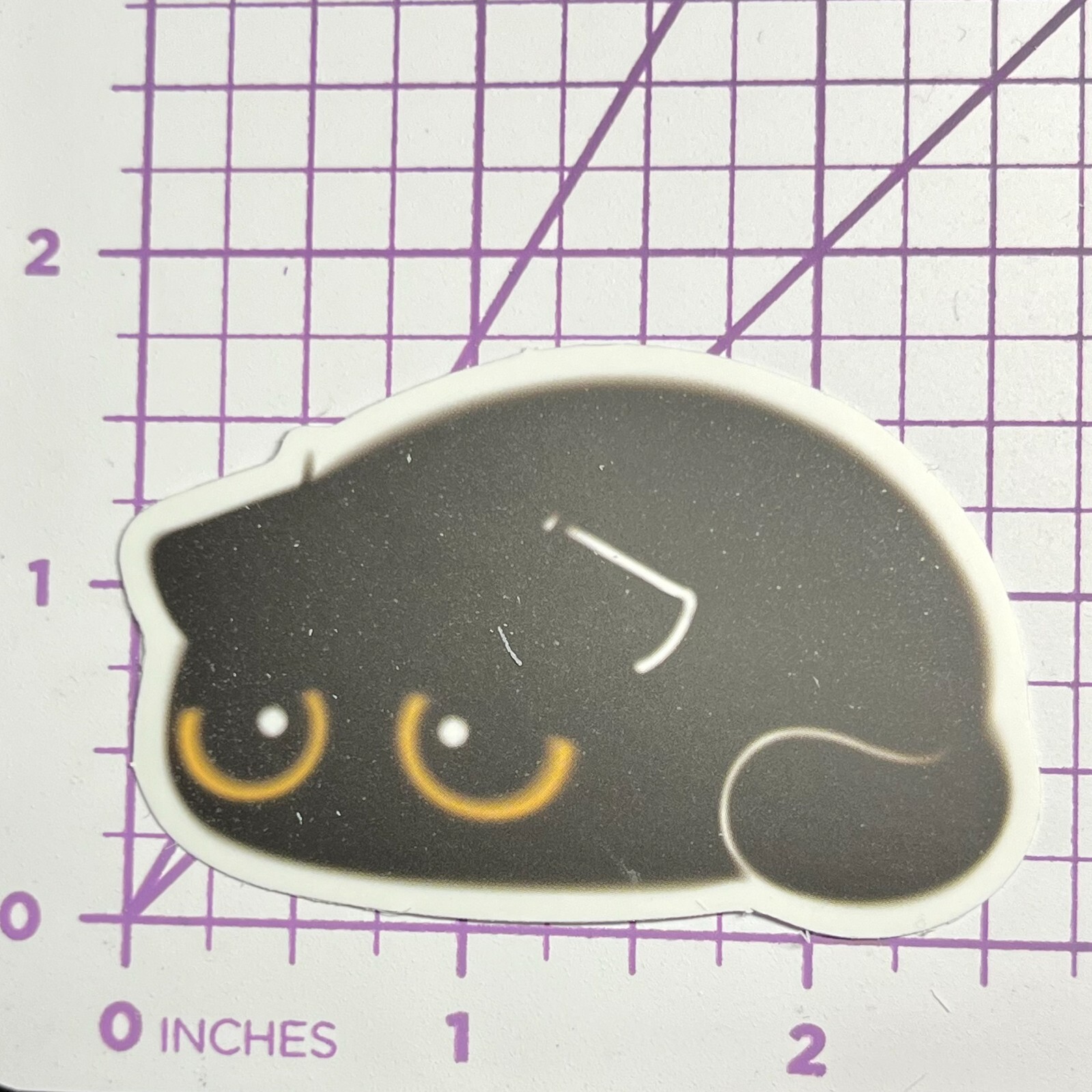 Black Cat Sad Face Oh No! Mystery Black Cat Vinyl Decal Sticker Bomb Halloween