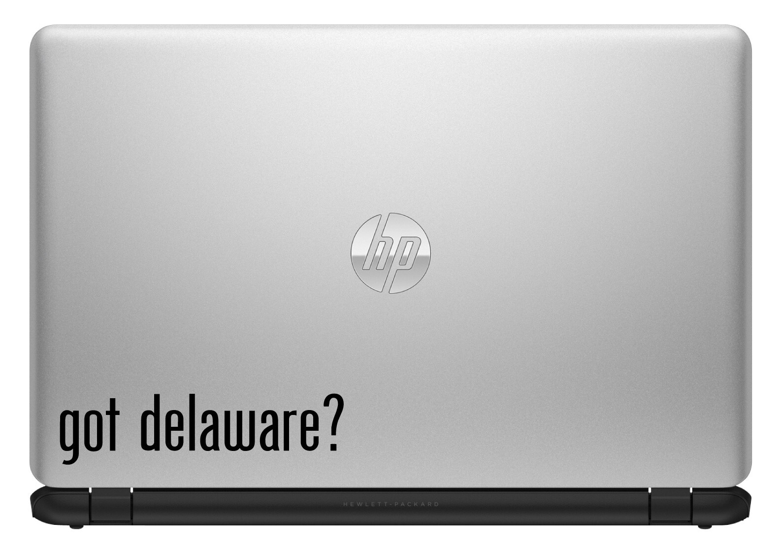 Got Delaware? Vinyl Sticker Decal for Car Window Laptop & More