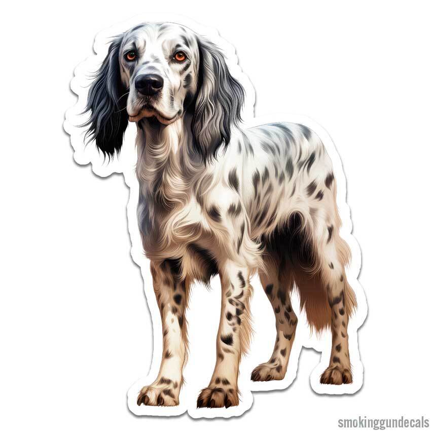 English Setter, Vinyl Decal Sticker, Indoor Outdoor, 3 Sizes, #12179