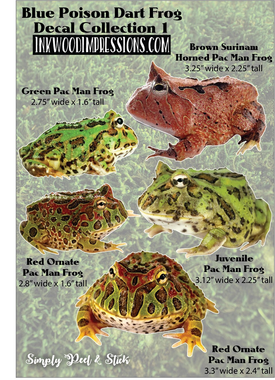 Set of 5 Pac Man Frog Vinyl Decals – Indoor/Outdoor Peel and Stick