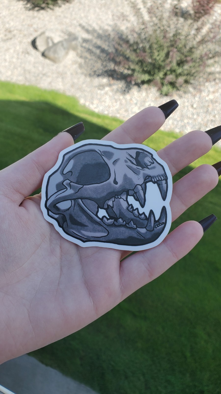 Cat Skull Sticker 6cm x 7cm, Original Art, Matte Finish, Transparent Background