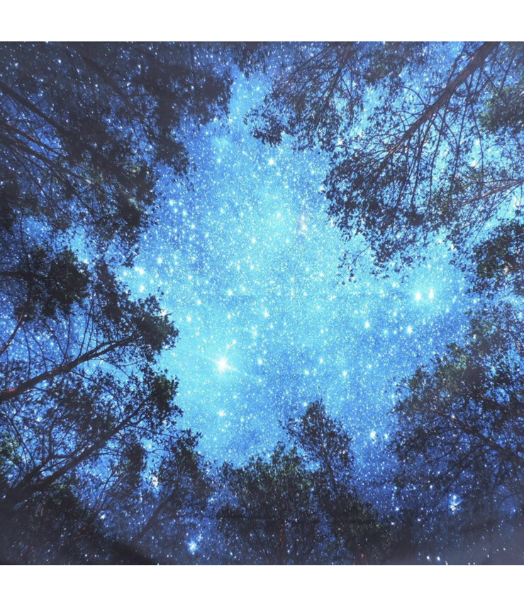Forest Starry Tapestry Starry Sky Tapestry Moon and Stars Tapestry Galaxy