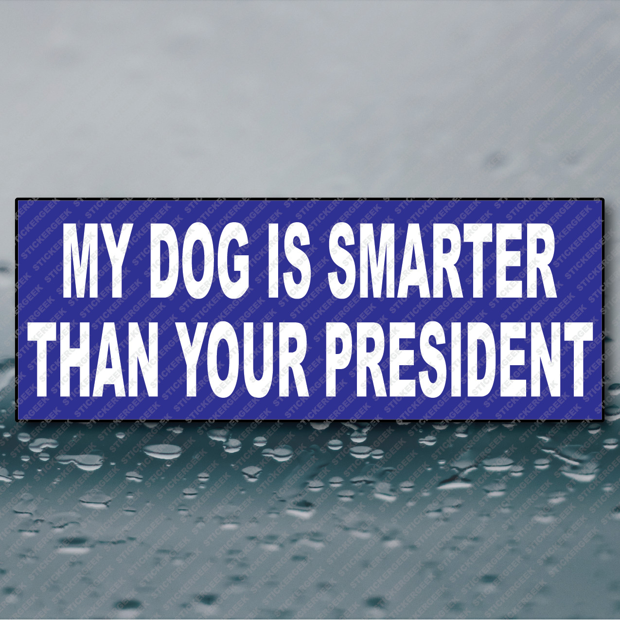 Anti Trump My Dog Is Smarter Than Your President Bumper Sticker Funny Prank Joke