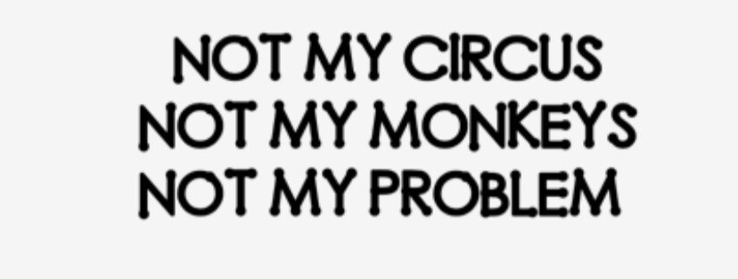 NOT MY CIRCUS NOT MY MONKEYS NOT MY PROBLEM DECAL STICKER FUNNY CAR TRUCK