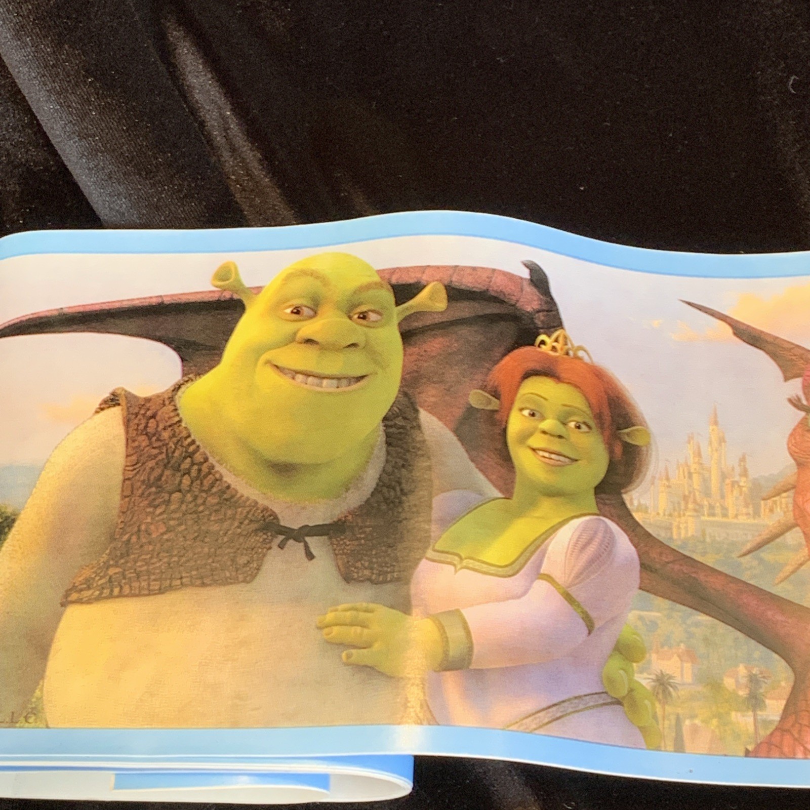 Shrek Peel and Stick Border Stickers for Kids Rooms New In Box