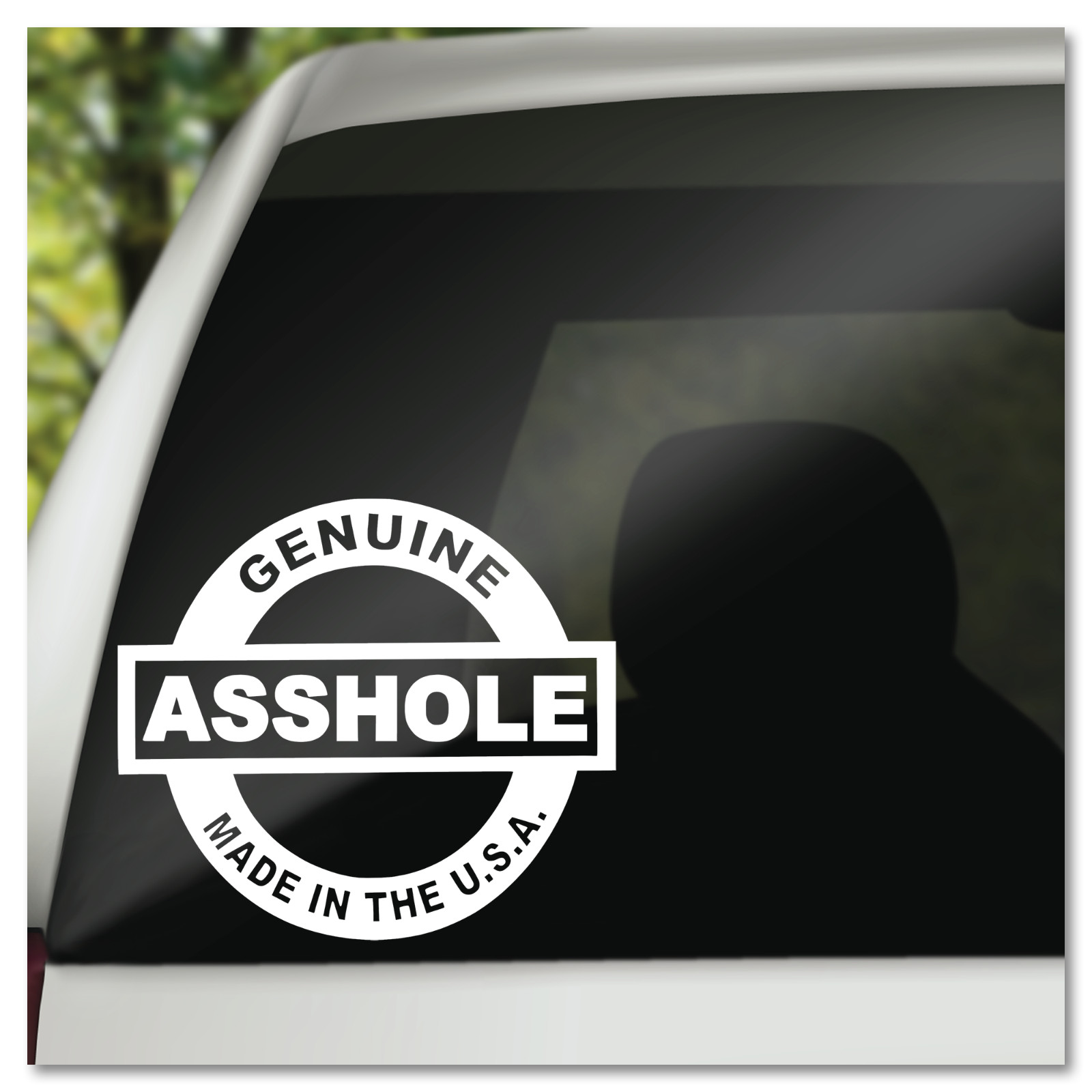 6" Genuine A**hole Made In The USA Vinyl Decal Sticker