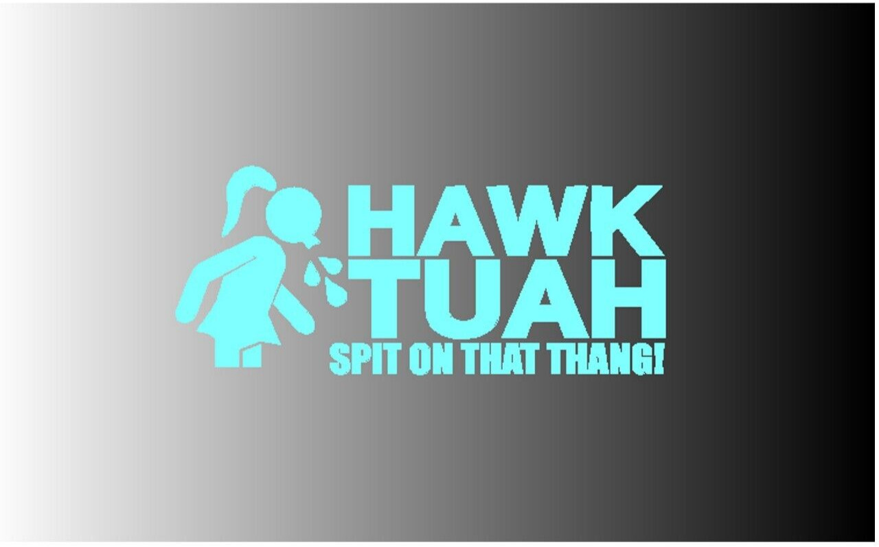 HAWK TUAH Spit On That Thang! Decal Vinyl Sticker-Pic from multi colors!
