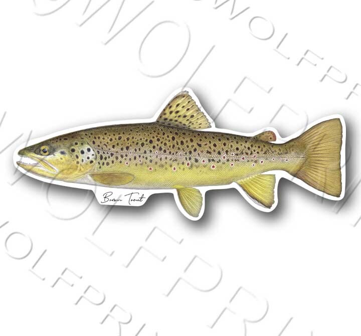 Northern Pike Fish Sticker 6" or 11" Wide Walleye Bass Boat Car Window Decal