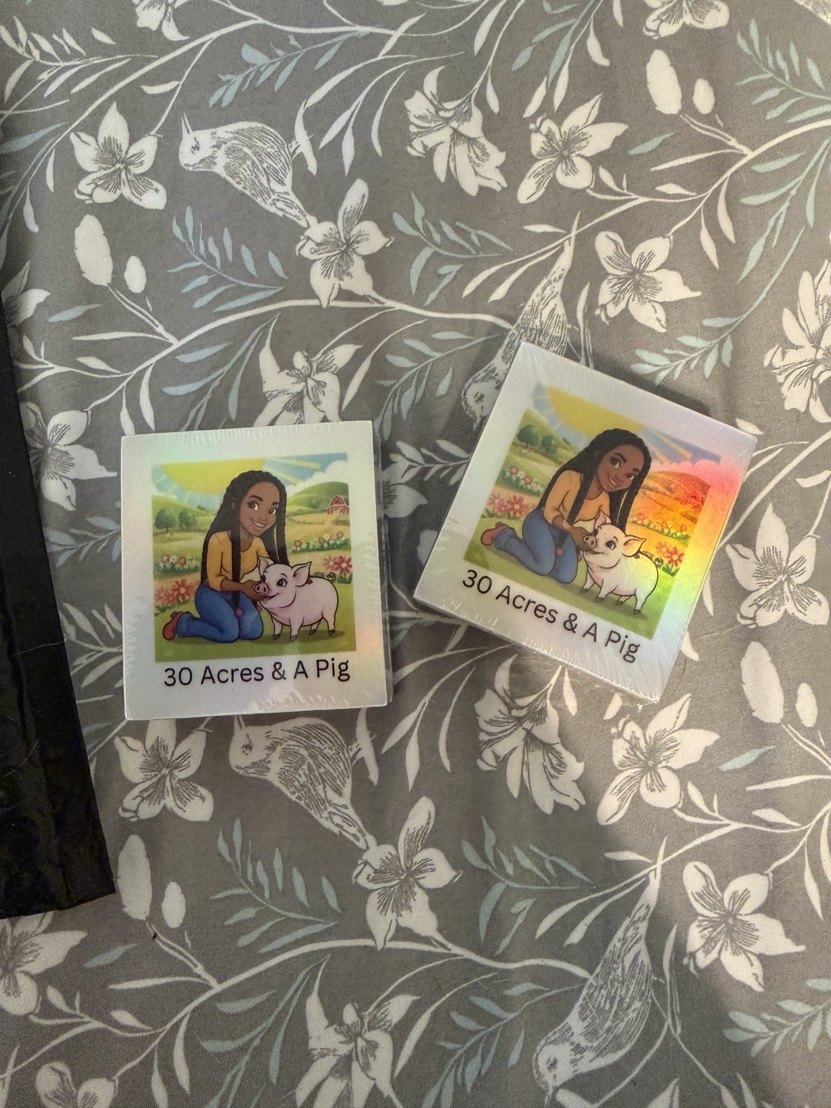 1 piece – Holographic 30 Acres And A Pig Sticker