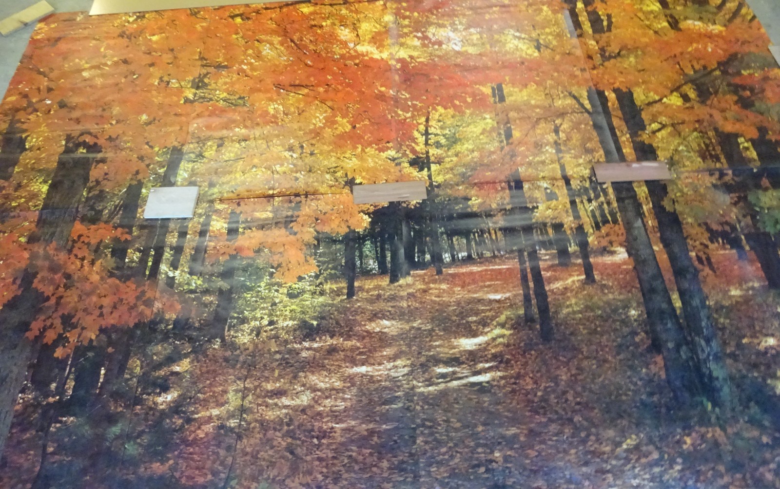 Full Wall Photo Mural Colorful Autumn Leaves Forest Path Tree 8’ 8” x 12’ 6” NOS