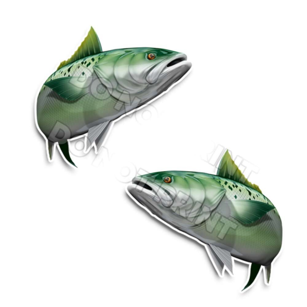 Kahawai Australian Salmon Fishing Decals Fish Stickers Arripis Trutta AFP-0182