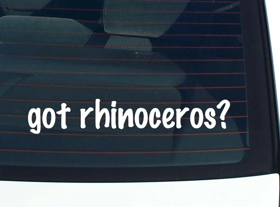 got rhinoceros? CAR DECAL BUMPER STICKER VINYL FUNNY JOKE WINDOW
