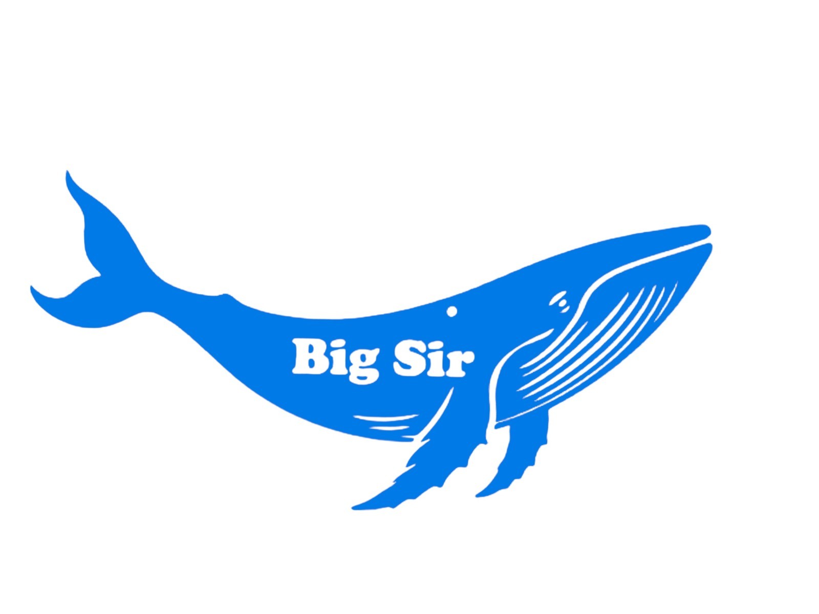 Humpback Whale Big Sir Decal for car Windows Laptops most Smooth Surfaces