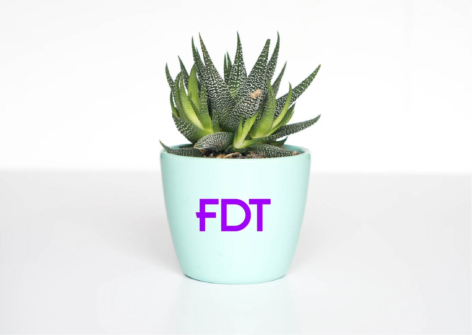 FDT Decal Sticker F Donald Trump Anti MAGA Democrat Liberal Biden Kamala Harris