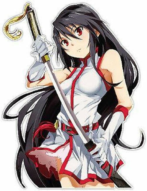Akame Ga Kill Anime JDM Car Window Decal Sticker 001