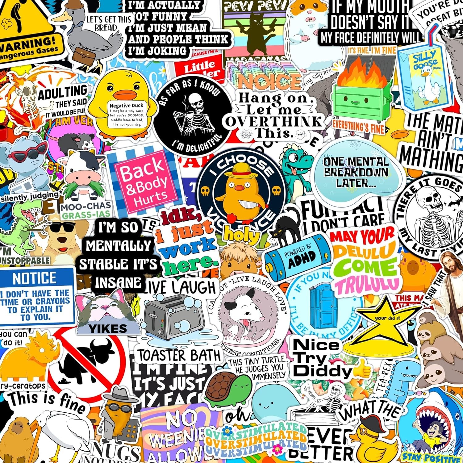300Pcs Funny Dirty Meme Vinyl Stickers Waterproof for Laptop Water Bottles DIY