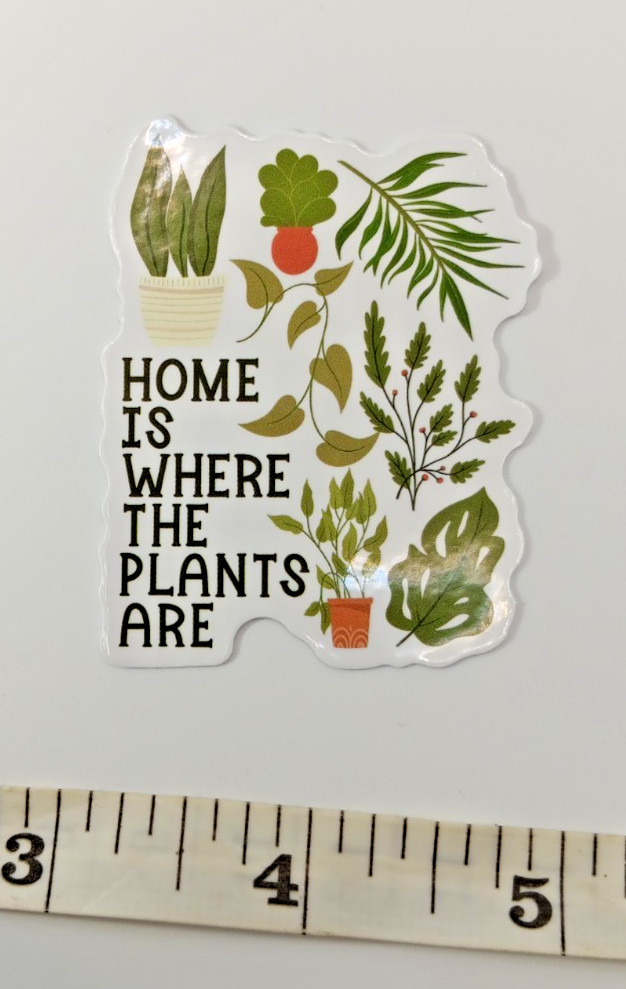 Plants-Succulent-Funny-Home Is Where – Vinyl Sticker-Decal-NWOT-Free Shipping!
