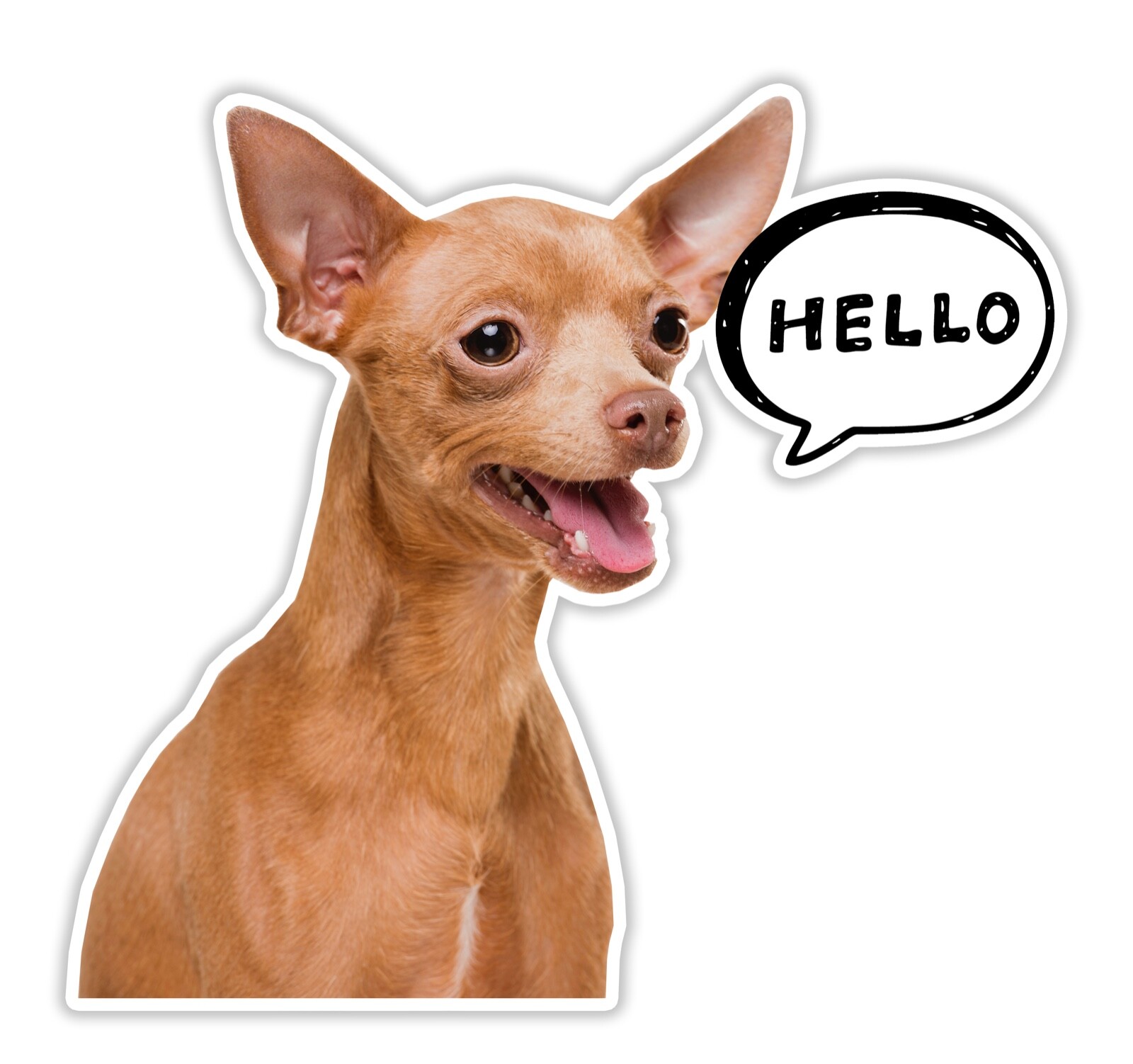 Brown Chihuahua Saying HELLO Funny CUTE Vinyl Car Decal Sticker Rear Window Dog