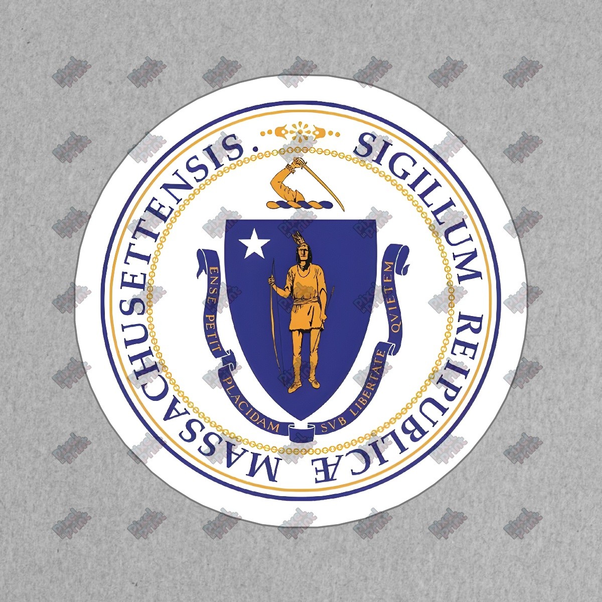 Massachusetts State Seal Vinyl Sticker Durable Decal for Home Decor, #173481