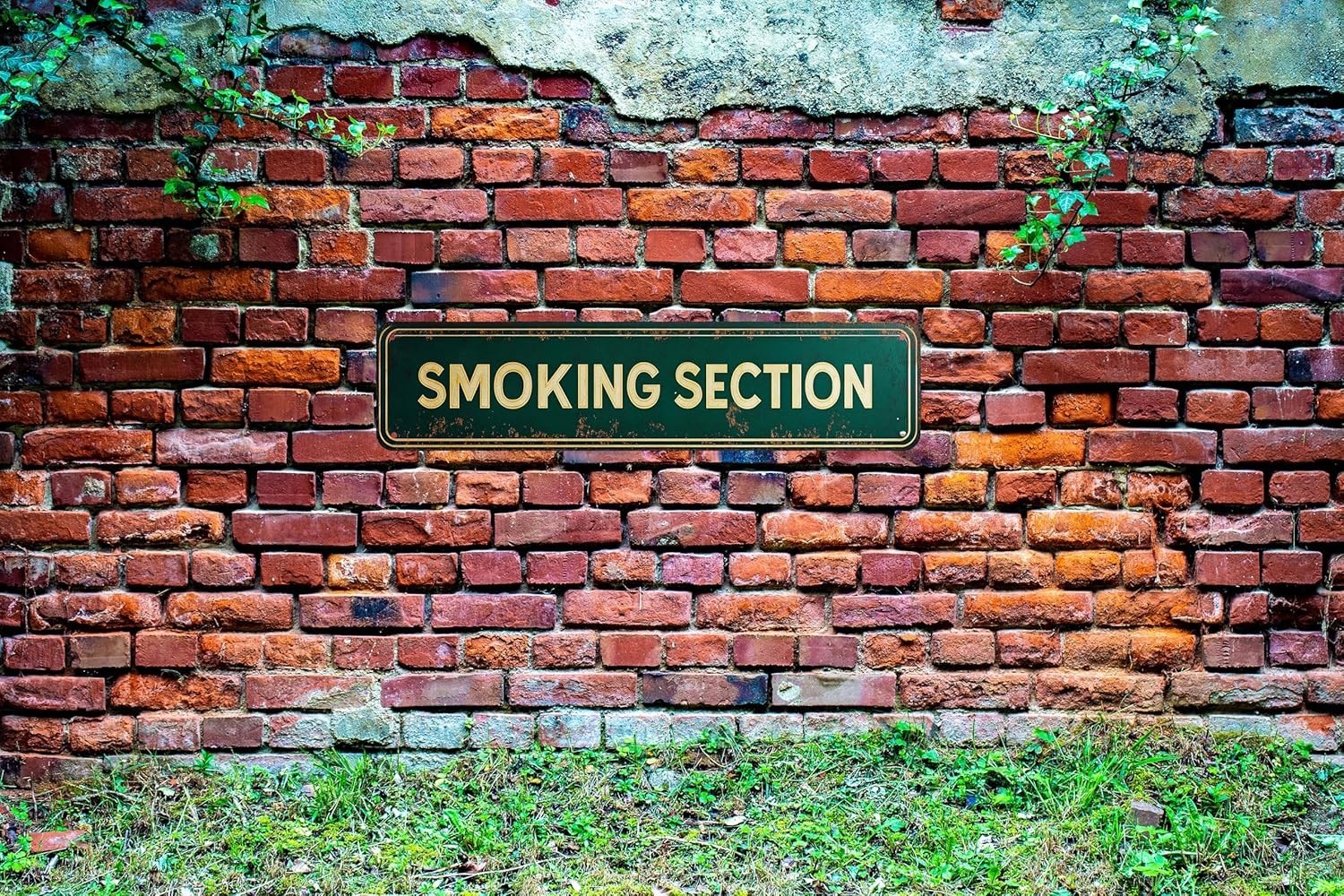 Vintage Tin Smoking Section Sign Retro Metal Sign for Outdoor indoor Decorati…