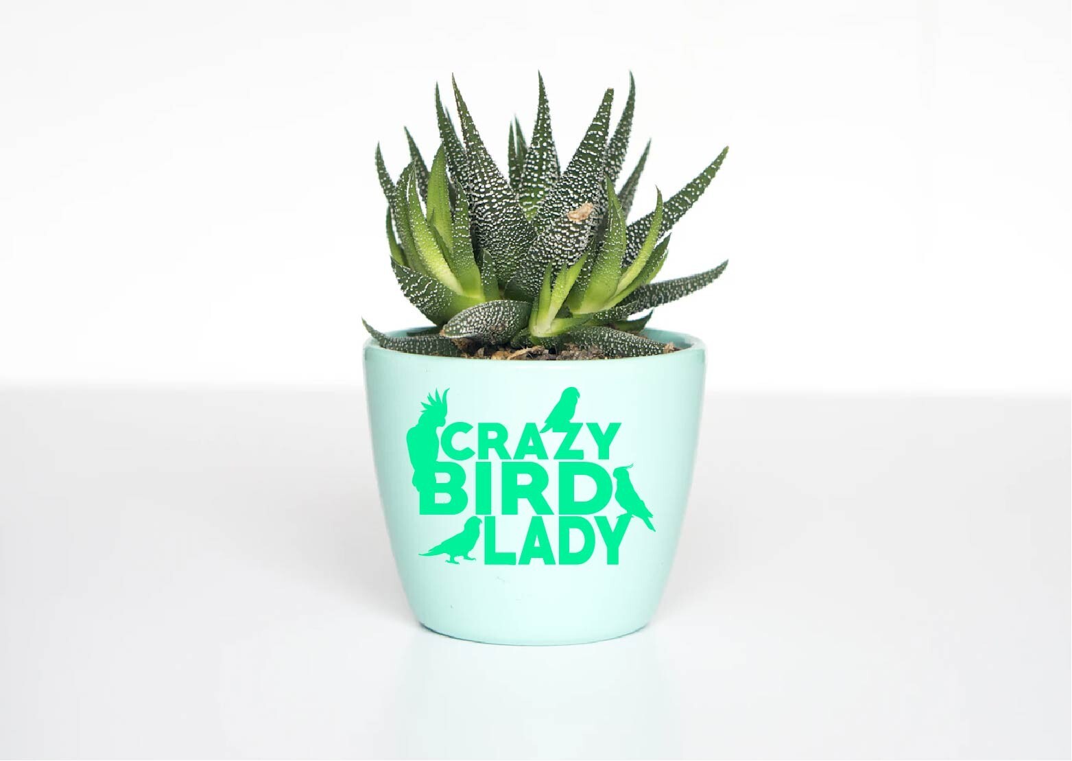 Crazy Bird Lady Decal Sticker Parrot Lover Life Parrotlet Conure Cockatoo Squawk