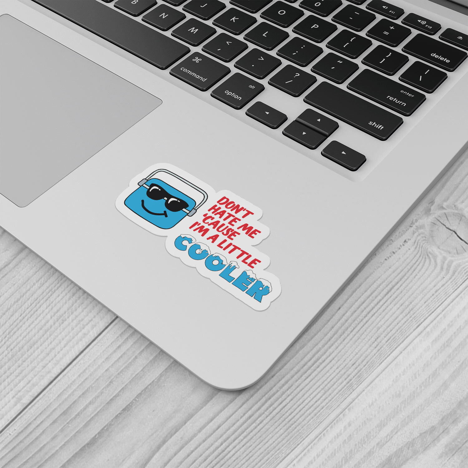 Im A Little Cooler Sticker Vinyl Car Bumper Decal